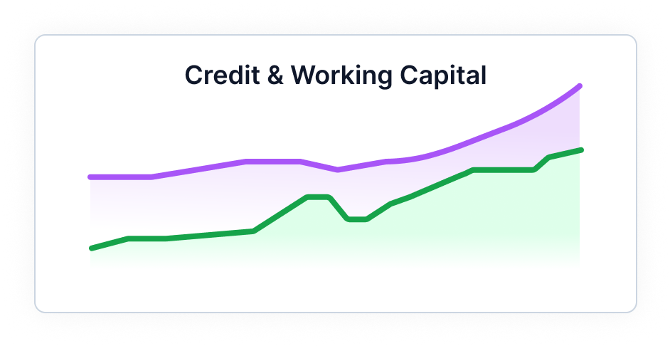 Credit and working capital analysis dashboard